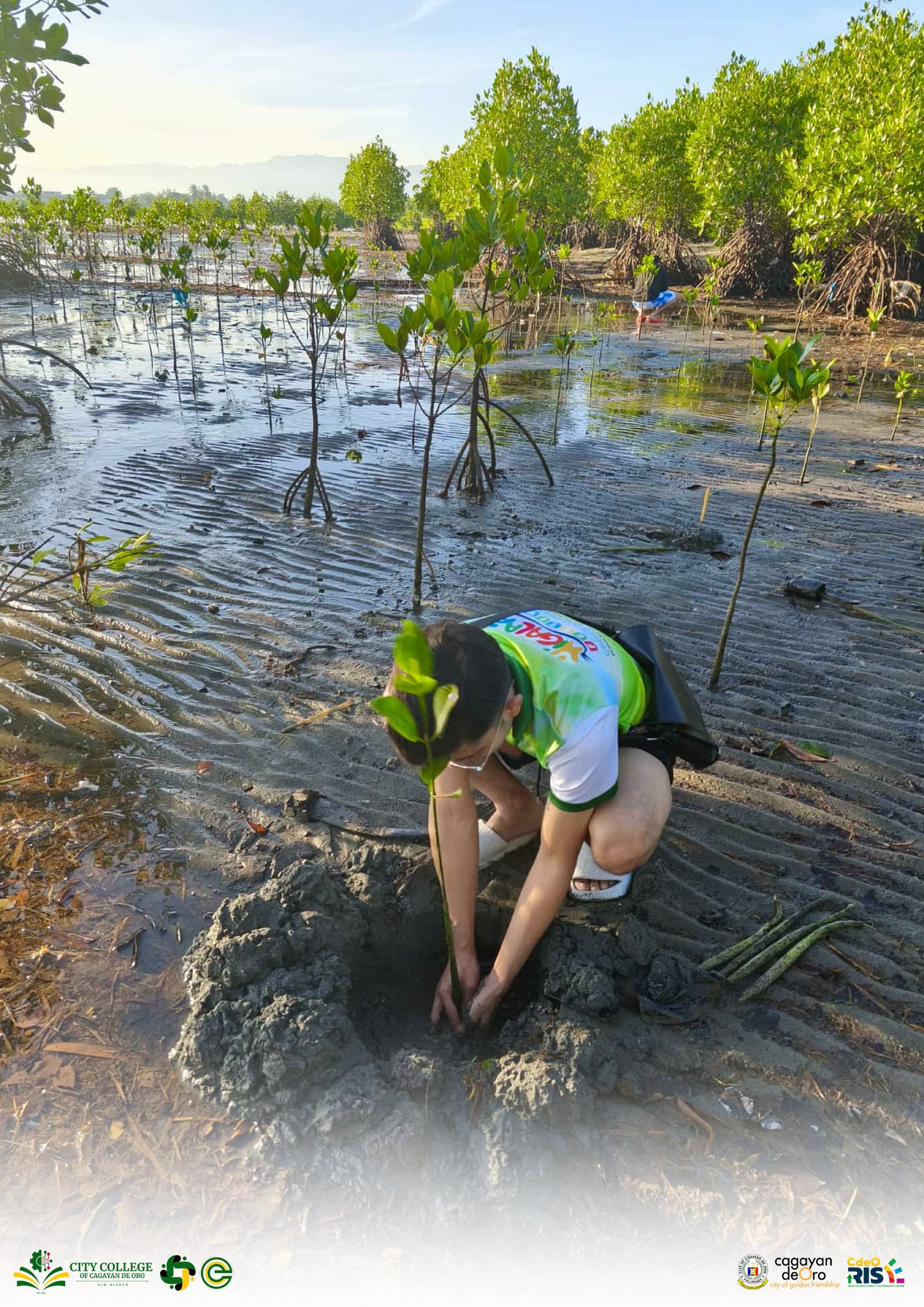 City College of Cagayan de Oro participates on Mangroove Planting Activity 2024!