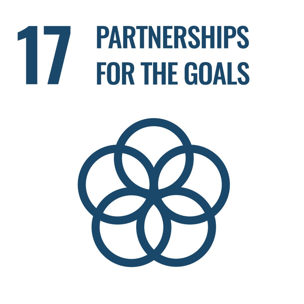 SDG 17