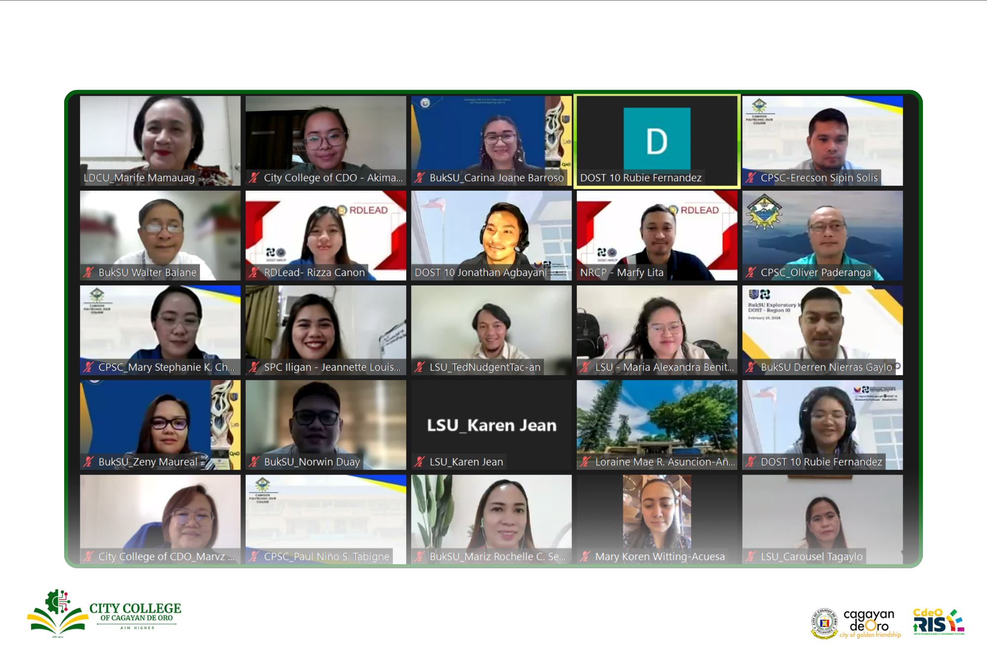 Online meeting screenshot with DOST-X and NRCP